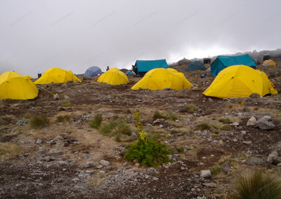 Karranga Camp